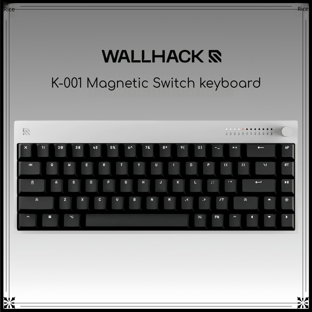 WALLHACK K-001 Tastiera con In - Gaming Keyboard Hall Effect Switches recensione e prezzo
